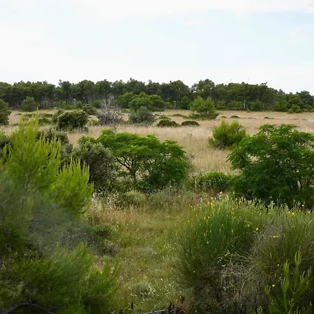 Lighthouse Apartman Vir