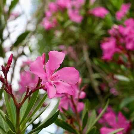 Apartman Lighthouse *