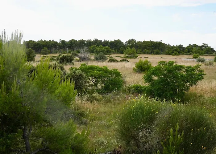 Lighthouse Apartman Vir